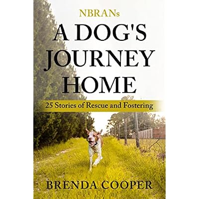 NBRANs A Dog's Journey Home