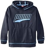 PUMA Big Boys' Formstripe Sweatshirt