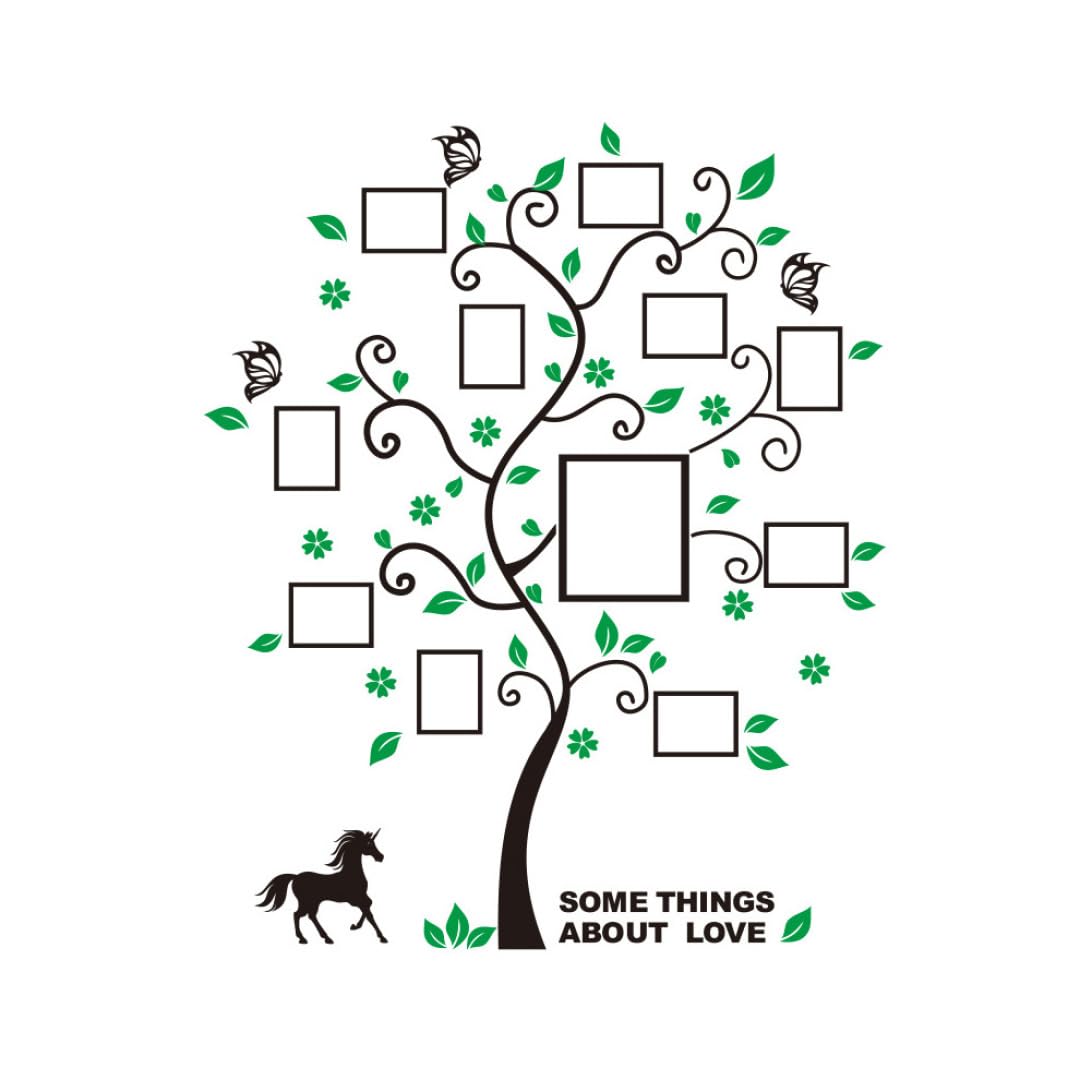 Cadre photo mural arbre généalogique pour décorer vos murs vides sans percer