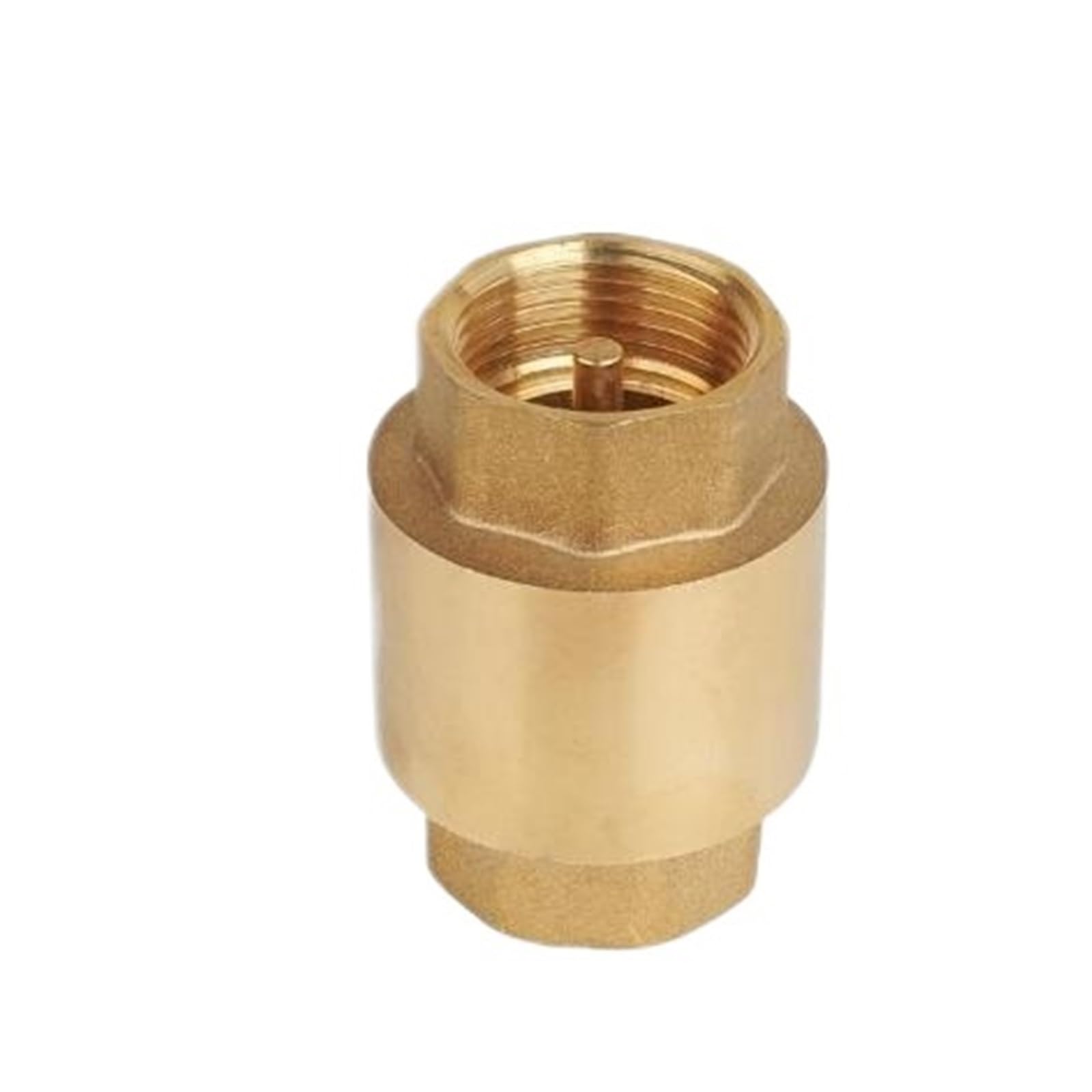 Dkgnyxnplj Dn20 For Medium Brass Thread Inline Spring Check Valves Dn20/Dn15(Dn20 For Medium)