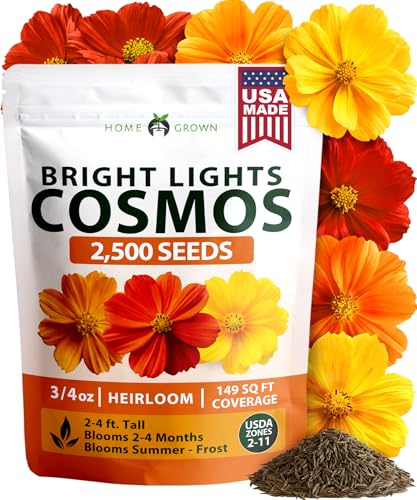HOME GROWN Cosmos Bright Lights Mix Seeds 2500 Cosmos Sulphureus for Planting Spring 2026 Refined Wildflower Herb Seed Mix Easy Grow Outdoor Flower Seeds for Gardens