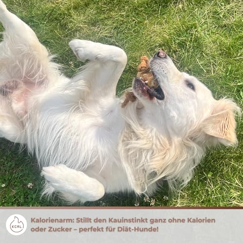 Zoys® Kaffeeholz Kokosseil M – Natürlicher Kauartikel & Zerrspielzeug für Hunde 15 kg – Koffeinfrei, splitterarm – Unterstützt Zahnreinigung – Robust nachhaltiges Hundespielzeug