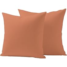 Outdoor Pillow Covers 16 x 16 Inches, Terracotta Waterproof Throw Pillow Cover Set of 2, Modern Solid Color Orange Brown Decorative Square Cushion Covers for Patio/Tent/Couch/Garden