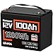 HumsiENK 12V 100Ah LiFePO4 Lithium Leisure Battery 1280Wh capacity, BMS 100 with low-temperature protection,10-year service life, for Motorhomes,Campervan,Narrowboat,Solar