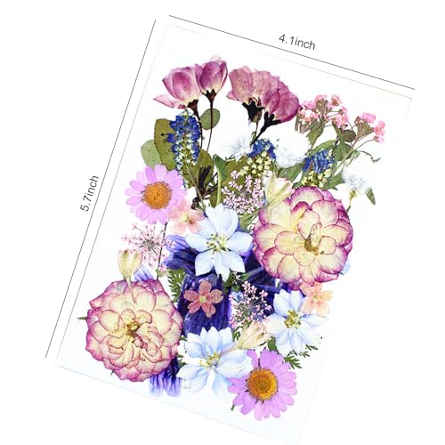 35 piezas flores secas prensadas para manualidades miniatura 5