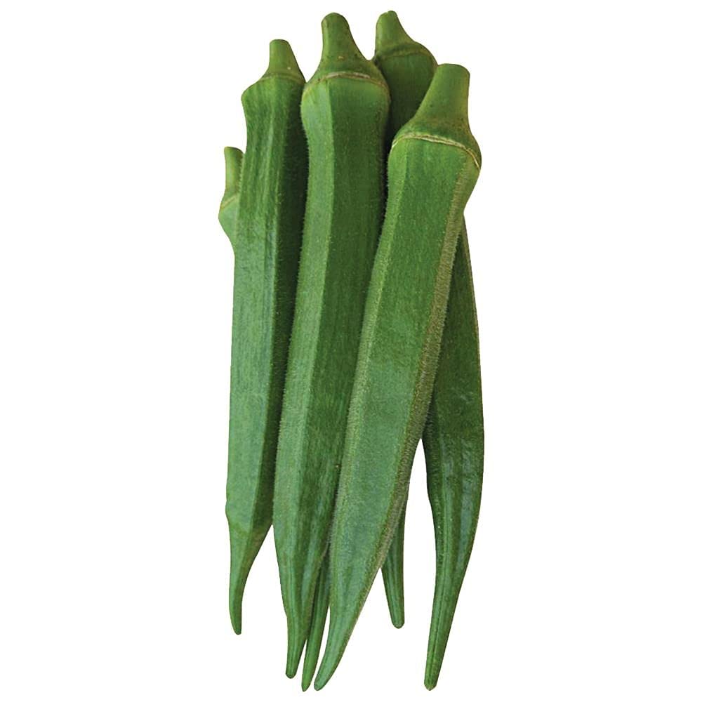 PLANTOGALLERY Seeds for Gardening Okra/lady Finger F1 Hybrid Seeds Organic Small Pack (B09B2P7KT6) Amazon Price History, Amazon Price Tracker