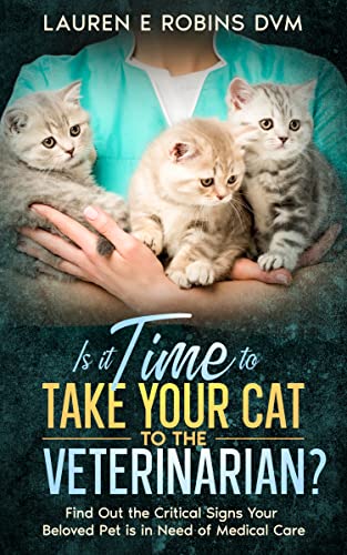 Is it Time to Take Your Cat to the Veterinarian?: