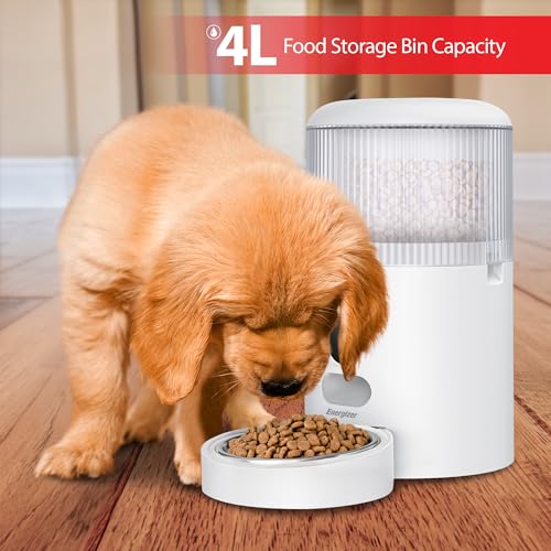 Energizer Smart Pet Feeder with 2K Video Camera, 5Ghz & 2.4Ghz Dual Band Wi-Fi, 2-Way Audio, Night Vision, 4L Food Capacity, Remote Feeding Dogs & Cats, Compatible with Alexa & Google, Records - image 3