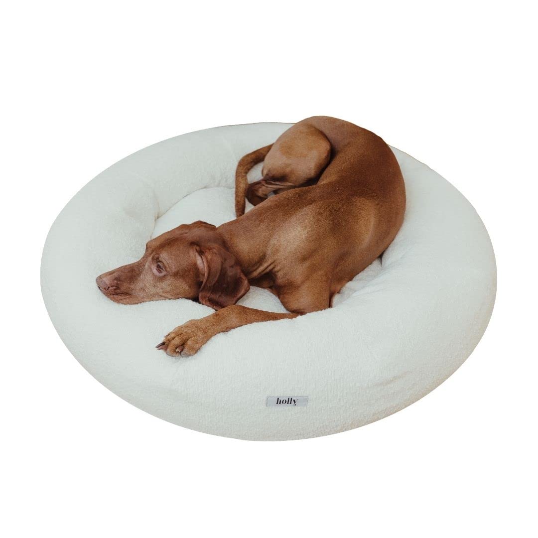 Holly Hundebett - Kratzfest, waschbar, langlebig - Luxuriöser Bouclé Stoff - Donut Hundebett in Cocoon Design - Ideale Unterstützung für Hals & Wirbelsäule - Hochwertiges Interior (S/M, Creme)
