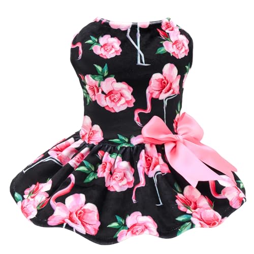 Robe en velours pour petits chiens au tissu doux et confortable