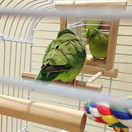 Hanze Bird Mirror With Swing Hummingbird Swing Bird Perches For Parrots Stand Wooden Swing Toy For Macaws Lovebird Cockatoo Parakeet Conure Finch Cockatiels #TOP6