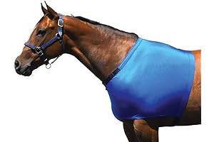 Lycra Shoulder Guard For Riders Horse Protector Royal Blue