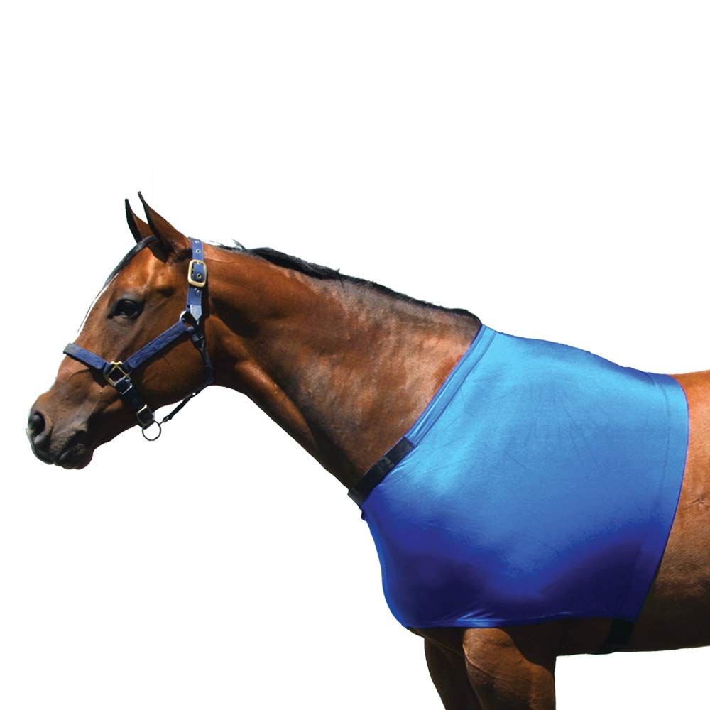 SleazySleazy Lycra Shoulder Guard Large Royal Blue