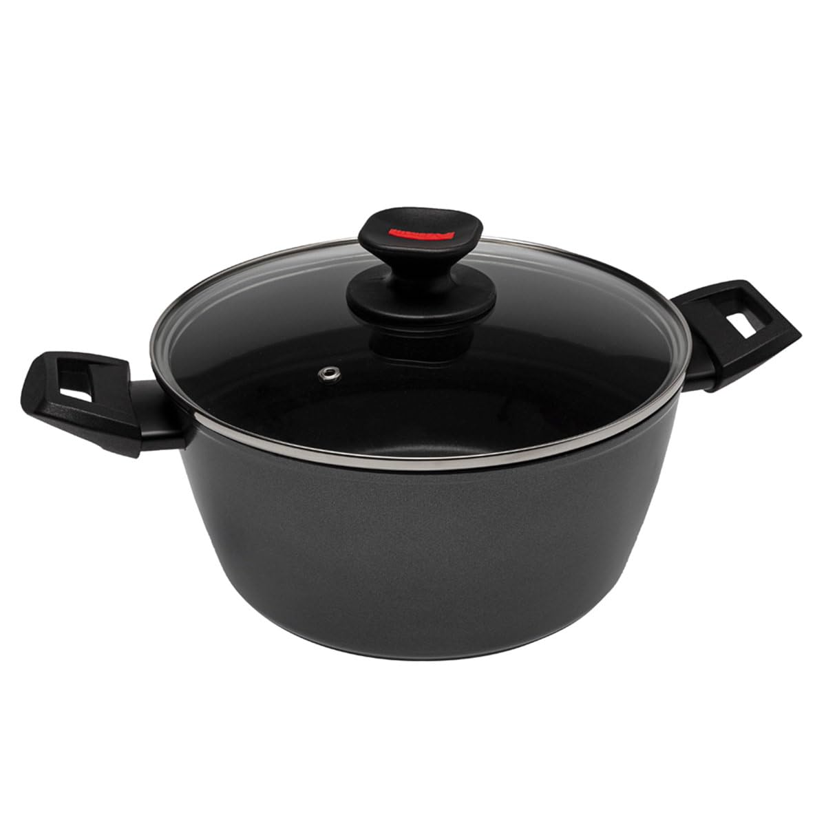 Zanetti Evolution Induction Saucepan, Diameter 20 cm, Non-Stick Base, High Thickness, Saucepan with Lid, Comfortable Handle Two Handles, Black