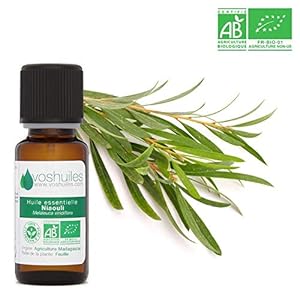 Biologische etherische olie van Niaouli – 20 ml.