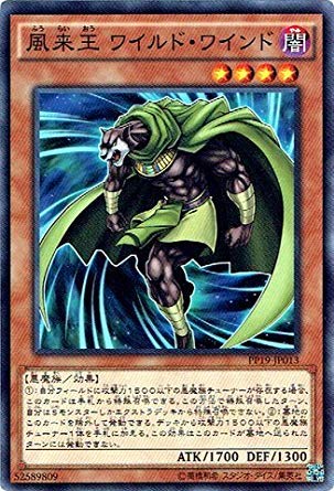 VYOCG  ChECh m[} PP19-JP013 VY ARC-V v~ApbN19