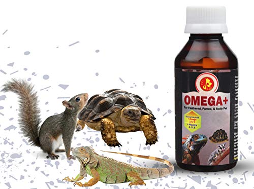 Image of Pet Care International (PCI) Omega+ || Provide Essential Omega and Vitamins || for Healthy Iguana, Gecko and Other Scaly Pets Healthcare (30ml)