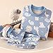 Toddler Boys Girls Warm 𝗣ajamas Outfits Infant Long Sleeve Crew Neck Printed Tops+Pants Fall Thickened (E, 6-12 Months)