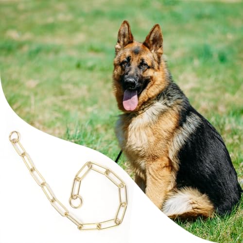 Joyzan Hundehalsband für Hunde, Hundehalsbänder, Kauversuch, Gold, Halbstrobe aus Metall, strapazierfähig, klein, mittelgroß, Training, Füße, Sicherheitskontrolle