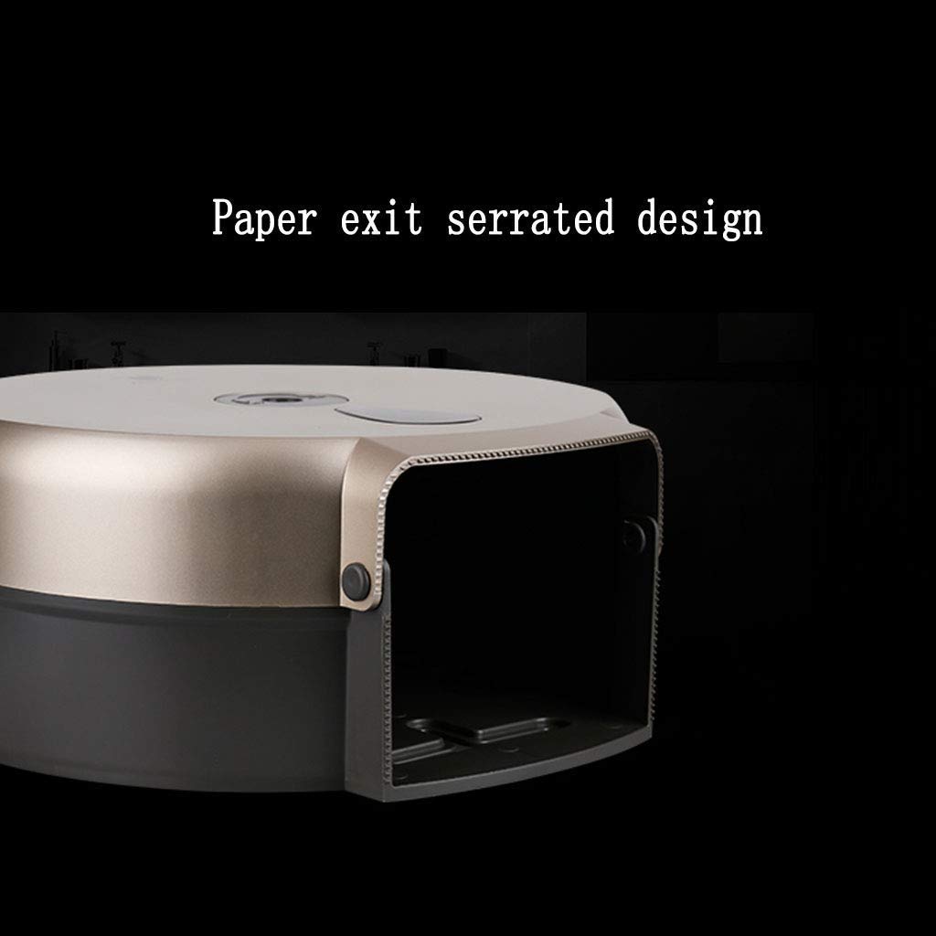 HLTYGWX Portarotolo per Carta igienica, portarotolo per Bagno di casa per Hotel di Grande capacità Montato a Parete con Scatola per fazzoletti in plastica con Serratura