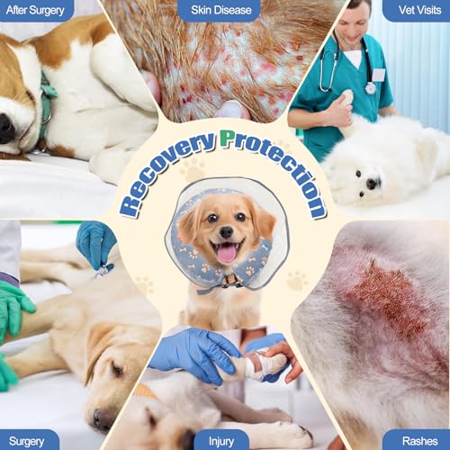 Image of Inflatable Dog Cone Collar, Adjustable Size Soft PVC 2-in-1 Dog Donut Collar After Surgery with Detachable, Inflatable Collar for Small Medium Large Dogs and Cats (Grey, Medium)