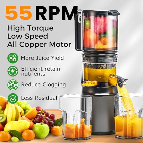 Cold Press Juicer,Slow Masticating Juicer Machines with 5.3\" Large Feed Chute for Most Fruits and Vegetables,Easy to Clean Lemon Orange juicer with 250W Motor and High Juice Yield,Metal Gray