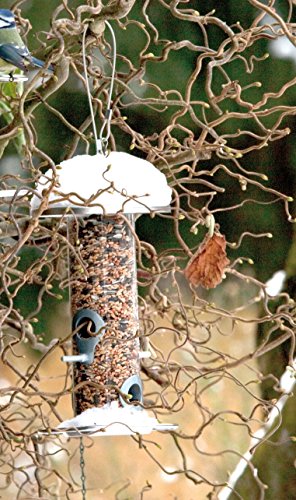 dobar® 10089 Vogelfuttersäule mit Edelstahlschlaufe - Futterstation für Wildvögel - Futterspender Acryglassilo für Sämereien - Futtertablet Stahl für Garten/Terrasse/Balkon - Ø 14 cm x 26 cm - Silber