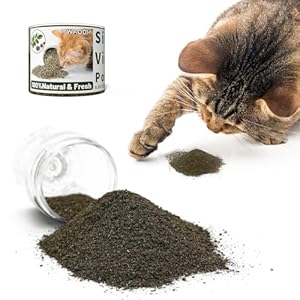 Cat Toys – Blend Silvervine Powder 25g with 5 Reusable Pouches, Catnip Alternative, 100{b13794532221bd7716b1630afd9d7d94fcba1925a8b0df34bdffa89758f7d763} Natural Silver Vine Gall Fruit Powder & Silvervine Leaves, Suitable for All Cat Ages