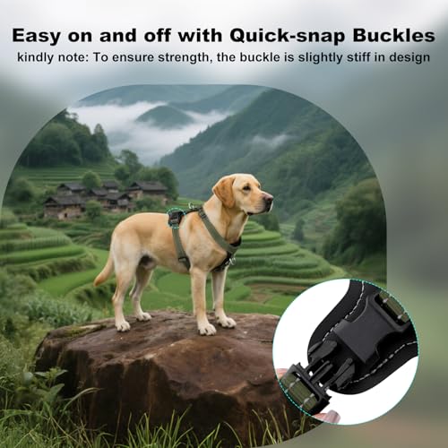 Plutus Pet Adjustable No Pull Dog Harness with Leather Accents, Heavy Duty Reflective Nylon Vest for Training, Hiking, Easy Walk Harness for Small, Medium, Large Dogs (Ranger Green, S) - Image 7