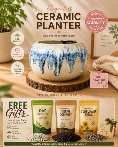 Image of Ceramic Plant Pots, Clay Flower Pot with Drainage Hole, Decorative Modern Indoor Planters, Home Garden Decor for Living Room Bedroom Interior| Set of 1 (Blue)