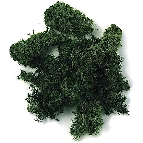 Mousse d'Islande naturelle Rayher 100 g Cover