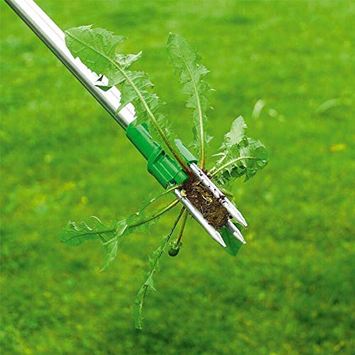 Manual Weeder, Stand-up Weeder with 3 Claws ,Hand Weeder Gardening Tool Stainless Steel.