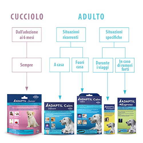 ADAPTIL Calm Beruhigendes Halsband für Hunde, Größe M/L, mittelgroße und große Hunde, beruhigende Pheromone, Stressabbau für hyperaktive, ängstliche Hunde, Entspannung für Hunde, Reisen und stressige