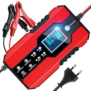 BURNNOVE Auto Acculader 12V/24V 8A Volautomatische Acculader Auto Acculader met LED Scherm en Reparatiefunctie Lader…
