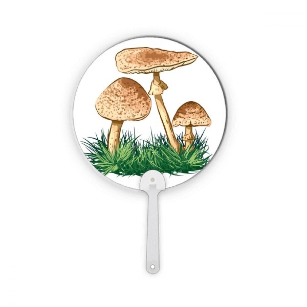 Illustration de truffe verte pour embellir un éventail artisanal terne
