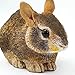 Safari Ltd. Eastern Cottontail Rabbit Baby Figurine - Detailed 4.25