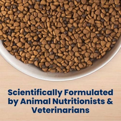 Blue Buffalo Life Protection Formula Chicken Puppy Dry Dog Food, 5 lb - image 8