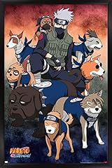 Black Framed Version