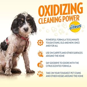OUT! PetCare Orange Oxy Stain & Odor Remover | Oxy Clean Pet Stain and Odor Eliminator | 32 oz