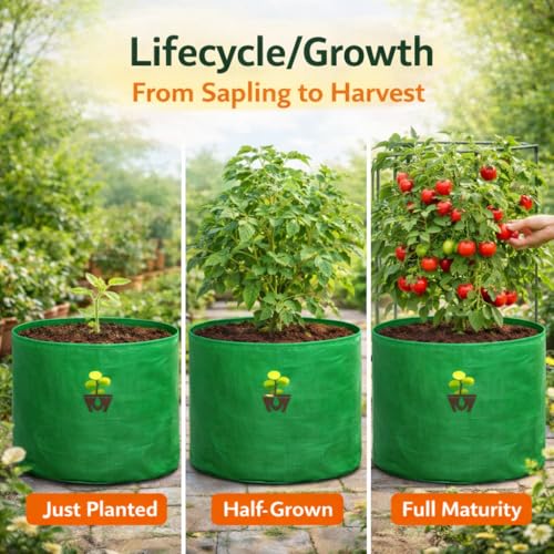 Image of MASHKI HDPE Grow Bags for Home, Terrace & Balcony Gardening - Big Size Vegetable Plant Grow Bags (15x15, 18 inchx18 inch & 24 inchx24 inch - Heavy Duty, UV Stabilized) (1, 24x24 Inches)