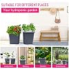 2 Hydroponic Buckets Kit for Plants, Hydroponics Growing System for Herbs/Tomato/Vegetables, DWC System with Air Pump & Germination Tray (Complete Indoor Hydroponic Gardening Supplies)