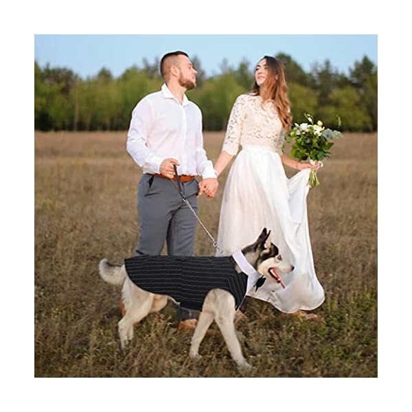Dora bridal formal dog tuxedo for medium large dogs, labrador pet wedding party suit outfit with detachable bowtie collar neckerchief bandana, dress-up halloween costumes handsome elegant cosplay - image 6