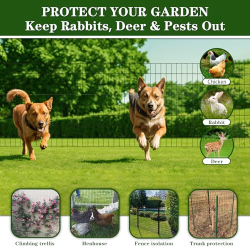 TUOKS Black PVC Coated Chicken Wire Fencing 2 inchx3 inch 24inch x 50ft, 16GA Welded Wire Fence Garden Border Fencing Roll, Metal Wire Mesh for Yard Vegetable Protection Goat & Poultry Netting by TUOKS - Image 4