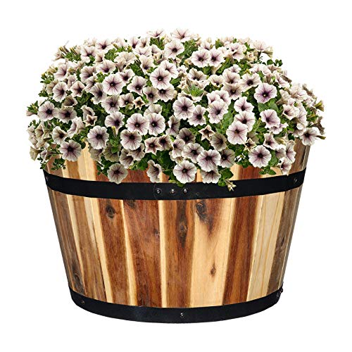 Classic-Home-and-Garden-Acacia-Wood-Whiskey-Barrel-Planter-with-Black-Metal-Band-1575in-D-x-95in-H Classic Home and Garden Acacia Wood Whiskey Barrel Planter with Black Metal Band 1575in D x 95in H