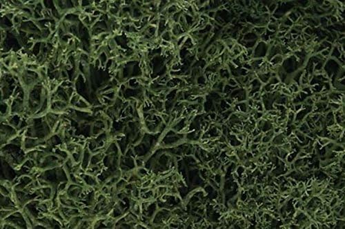 Miniatura 2 de Woodland Scenics - Líquido para pintura 15 qt tamaño mediano color verde