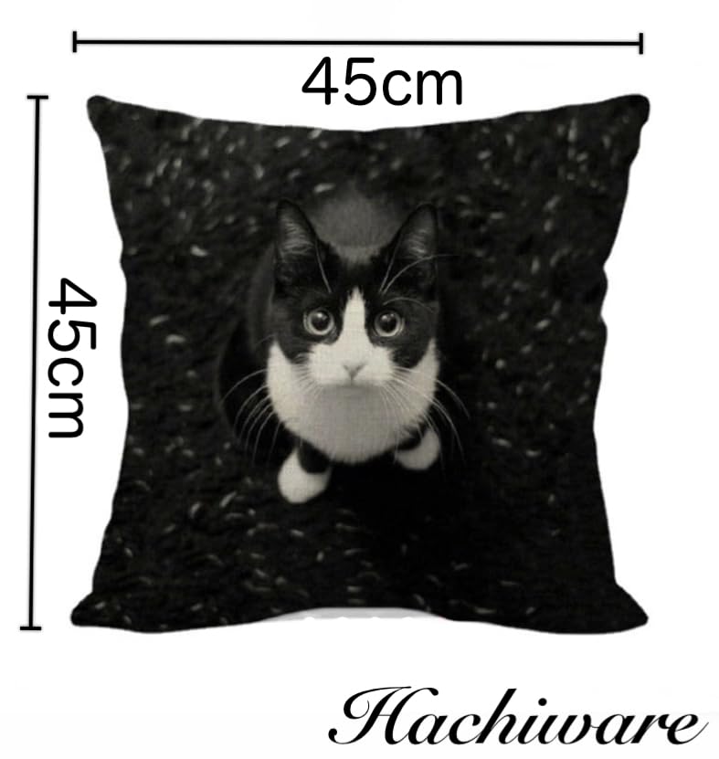 Amazon.co.jp: クッションカバー ハチワレ 猫 子猫 黒ネコ リビング