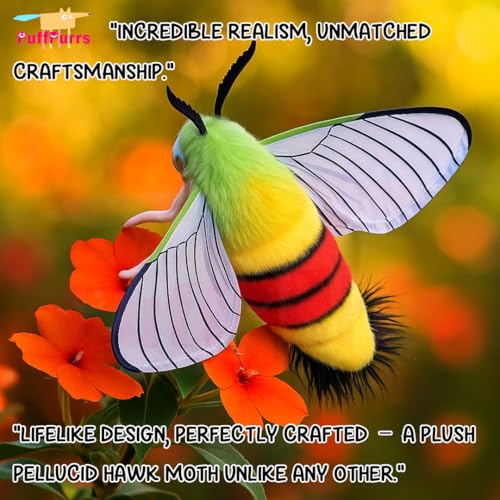 PuffPurrs Lifelike Pellucid Hawk Moth Toy, Realistic Transparent Wings Teddy Stuffed Animal - Image 4