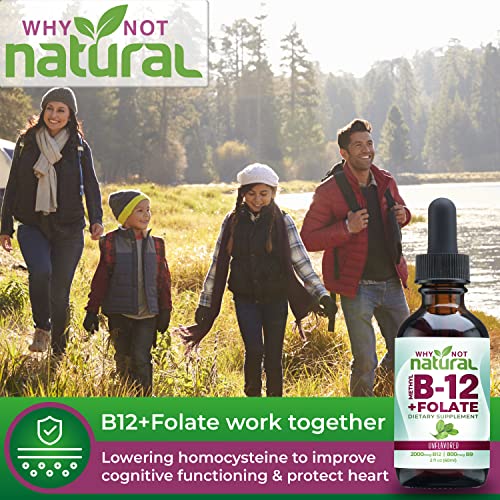 Why Not Natural Vitamin B12 Liquid Plus Folate - Organic Sublingual Extra Strength Vegan Drops - Methyl B12 And Folinic Supplement #TOP2