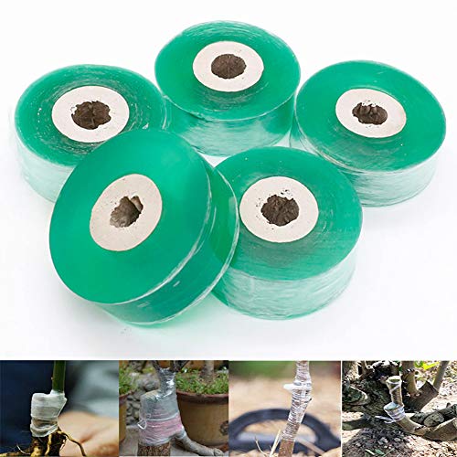 RANRANHOME 10 Rolls Grafting Tapes,Transparent Self-Adhesive Grafting Film Plant Repair Tape,Moisture Barrier for Plant Fruit Trees Seeding,2Cm