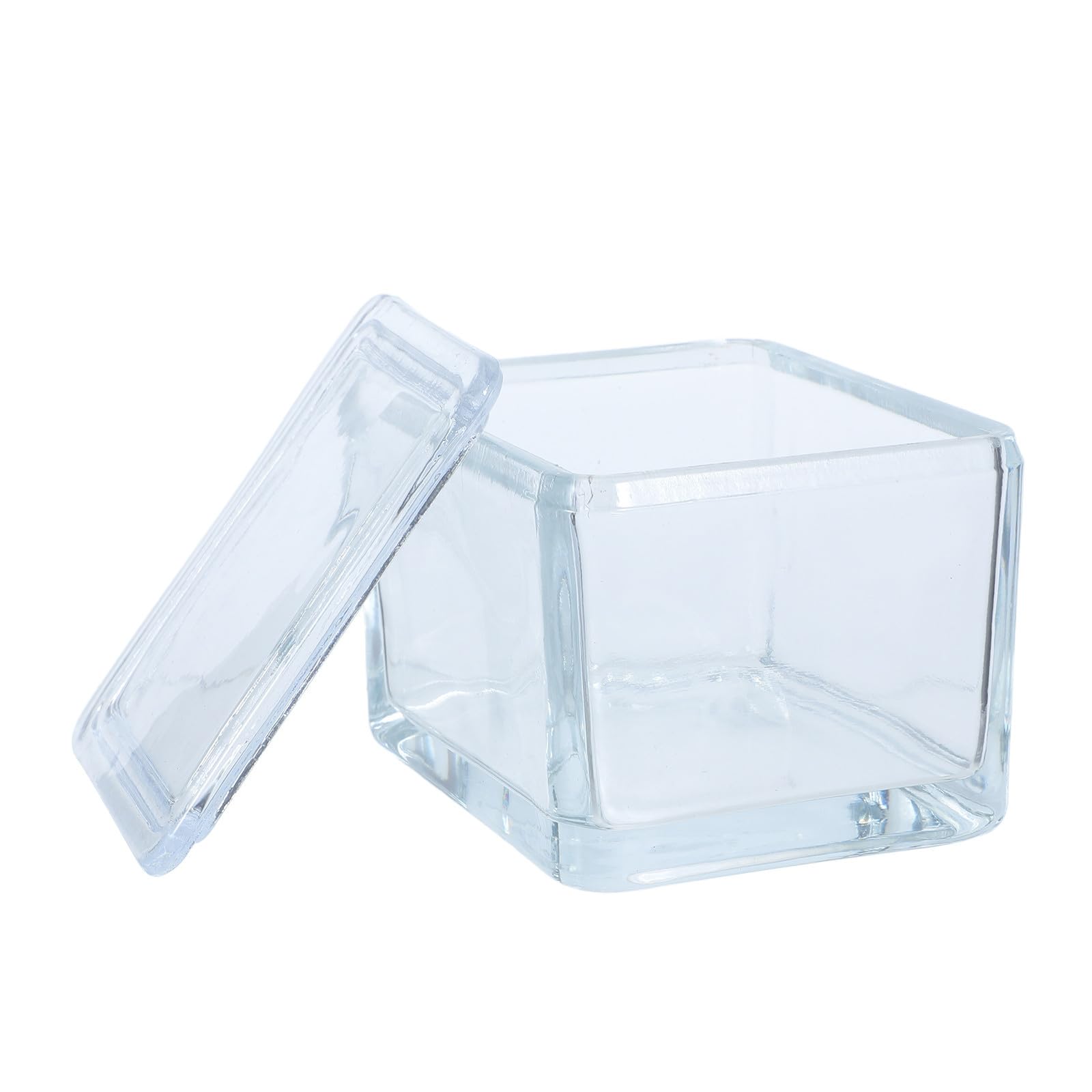 Caja para tinción de portaobjetos sellada con capacidad para 20 muestras de laboratorio